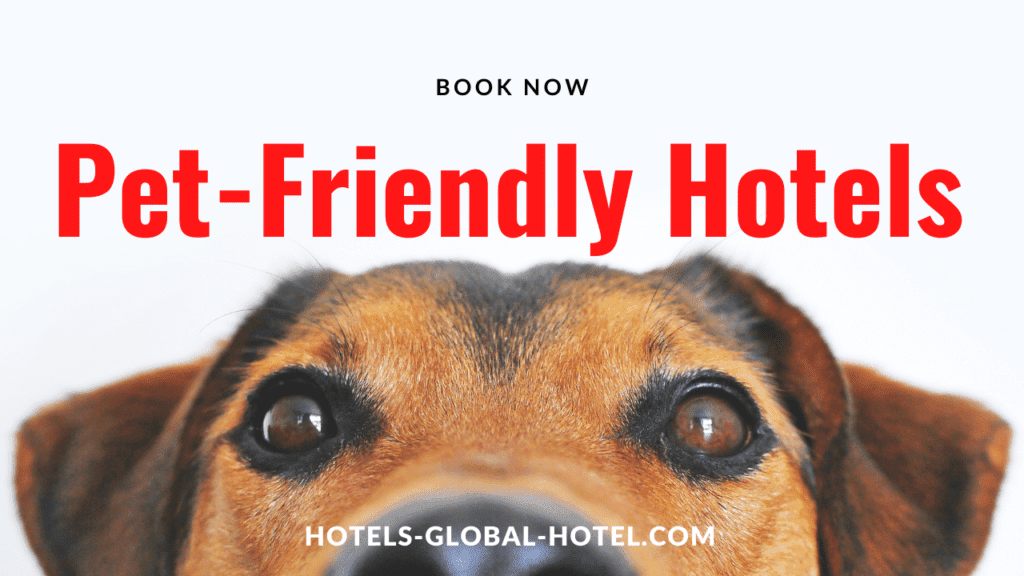 Pet Friendly Hotel