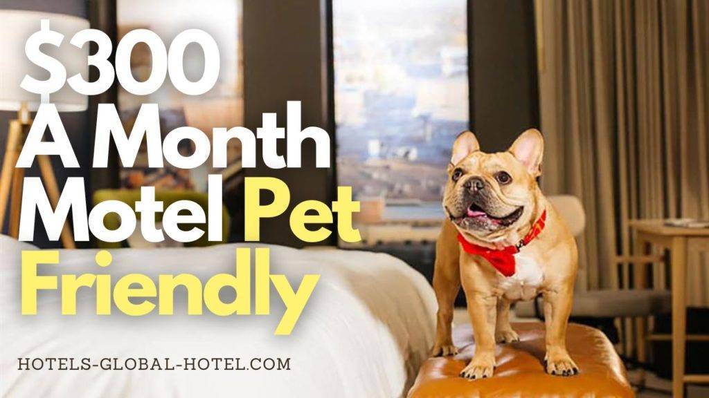 $300 A Month Motel Pet Friendly